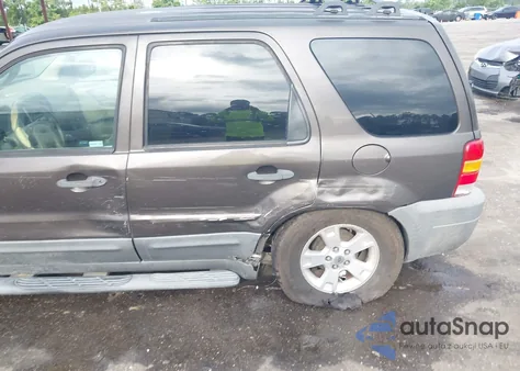 2007 Ford Escape Xlt z USA, uszkodzony, nr VIN 1FMYU03ZX7KB25972